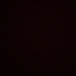 Meet your Posher, Chandler